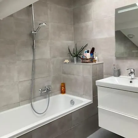 Joli Duplex Proche Du Leman