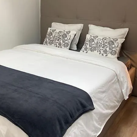 Joli Duplex Proche Du Leman Apartment