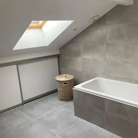 Joli Duplex Proche Du Leman *