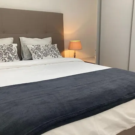 Joli Duplex Proche Du Léman Messery