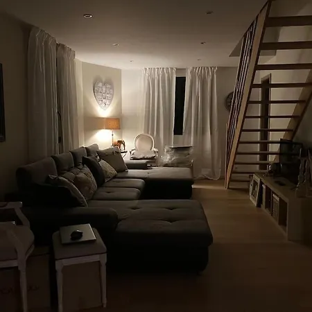 Joli Duplex Proche Du Leman * Messery