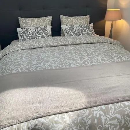 Joli Duplex Proche Du Léman *