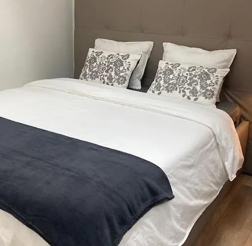 Joli Duplex Proche Du Léman Apartamento