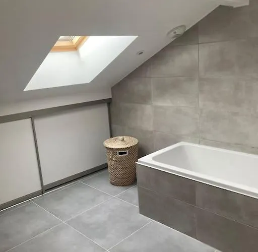 Joli Duplex Proche Du Léman *